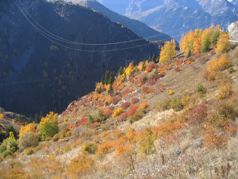 Le domaine des Grandes Rousses